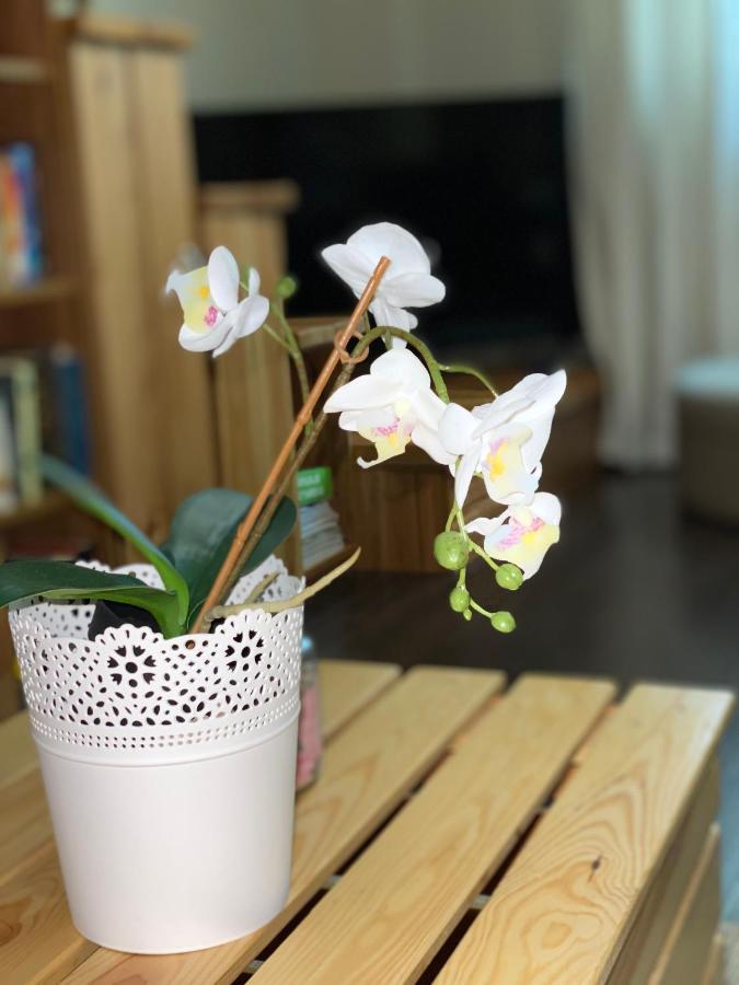 Apartament Antresola *